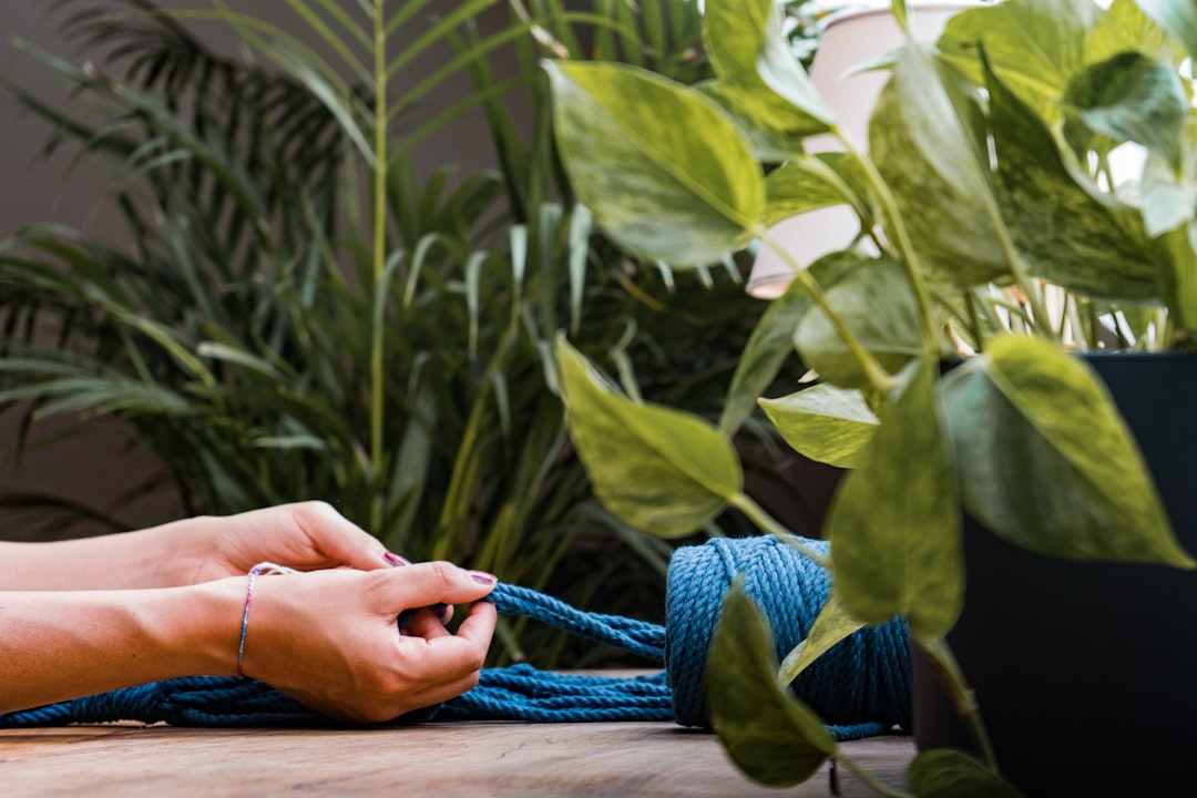 A woman knotting a macrame plant holder.